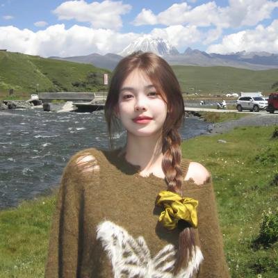双截龙